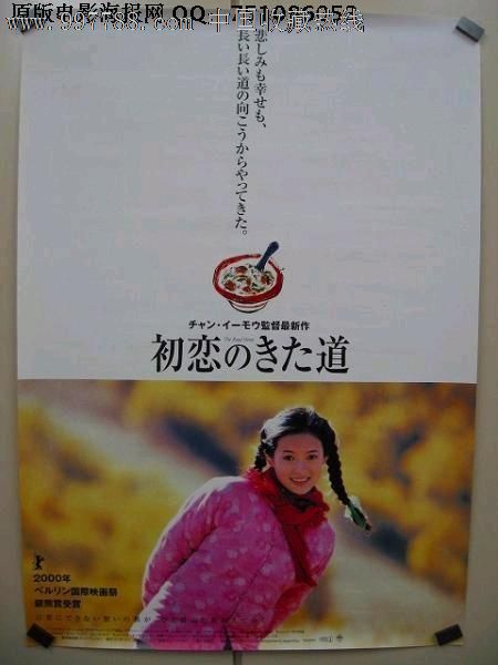 仿制布鲁内尔大学文凭毕业证